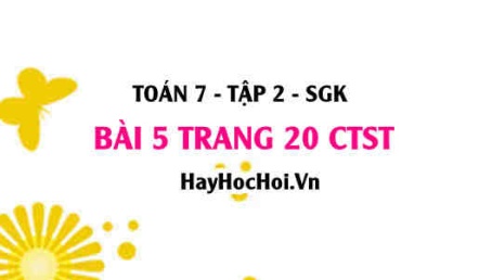 Bài 5 trang 20 Toán 7 Tập 2 Chân trời sáng tạo